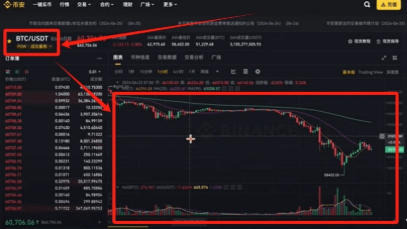 Bi�������������̳� Bi����������ϸʹ��˵��