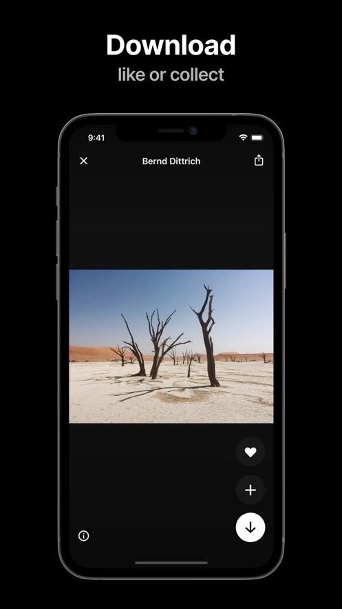 unsplashapp����v1.1 ��׿��