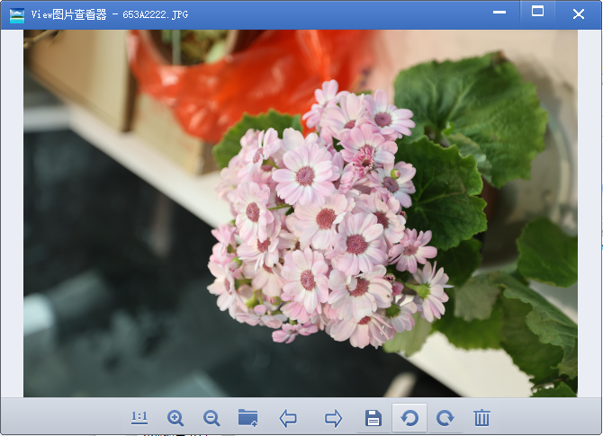 viewͼƬ�鿴��pc��v1.5 ���°�