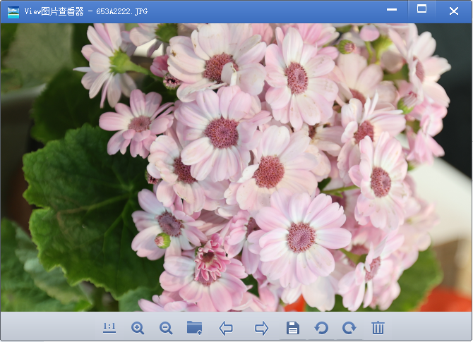 viewͼƬ�鿴��pc��v1.5 ���°�