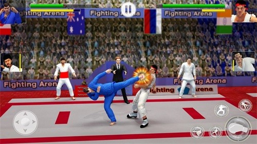�����ʦ��Ϸ(Karate Fighter)v3.5.41 ���°�