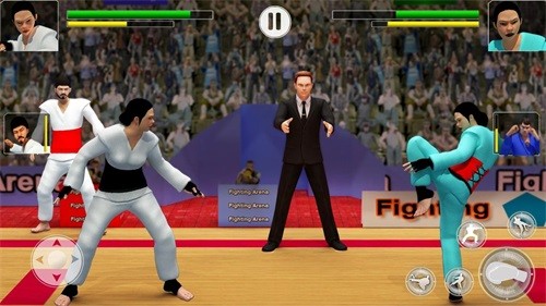 �����ʦ��Ϸ(Karate Fighter)v3.5.41 ���°�