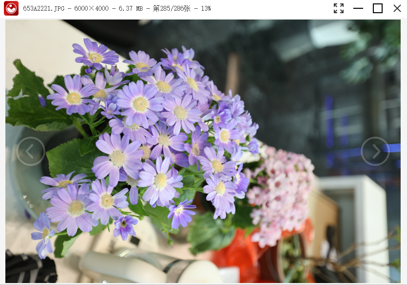 金舟看图王电脑版v1.1.3 最新版