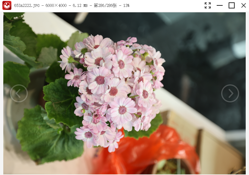 金舟看图王电脑版v1.1.3 最新版