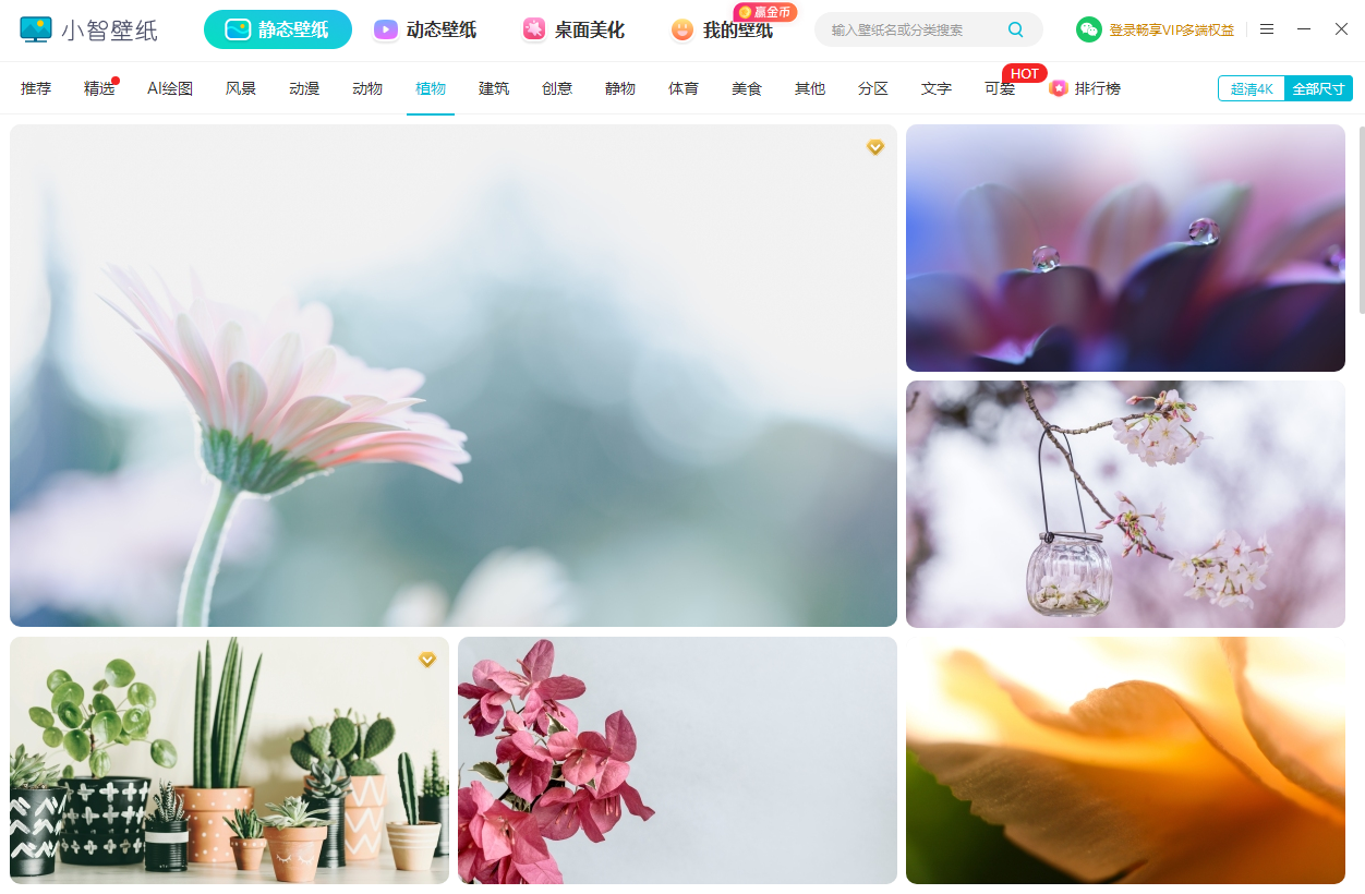 С�Ǳ�ֽpc��v5.0.5.20 ���°�