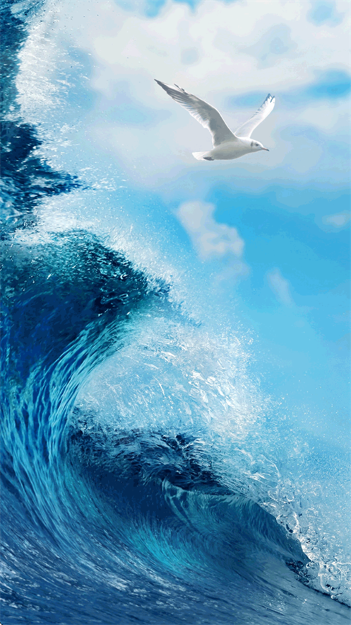 ���󱦱�app����v1.1.9 ���°�