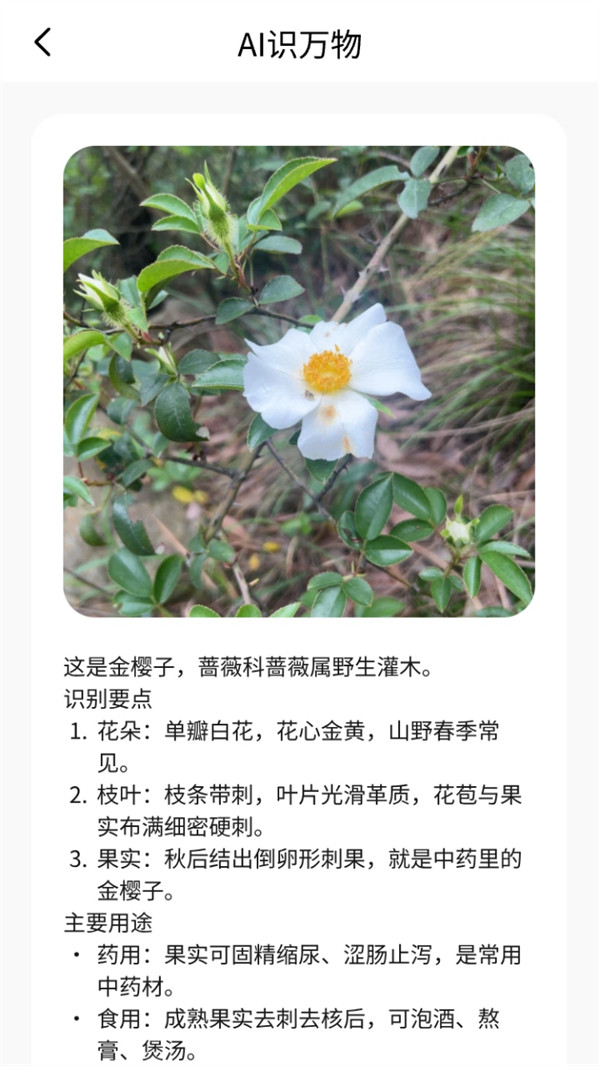 ����ɨ�豦�ٷ���v1.1.0 ��׿��