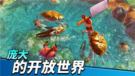 ��з֮�����°�ٷ�(King of Crabs)v1.22.0 ��׿��