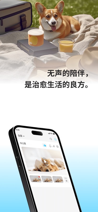 �������appv2.0.02 ���°�