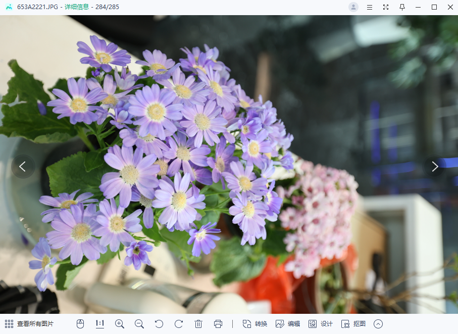迅读看图桌面版v1.2.3.1 最新版
