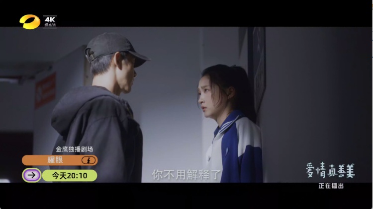 龙峰TV直播video 手机版