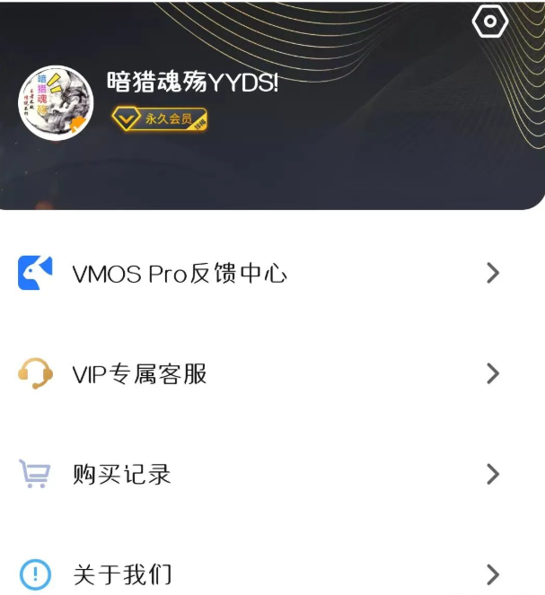 VMOS虚拟大师官方版下载(VMOS Pro) VMOS虚拟大师官方版下载(VMOS Pro)