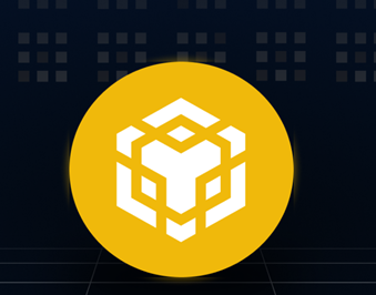 ��ʲô��app�������