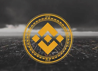 ��ĳ������app����