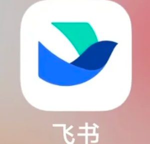 飞书怎么查工资条 飞书工资条明细查看方法 飞书怎么查工资条 飞书工资条明细查看方法