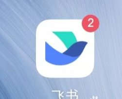 飞书怎么查工资条 飞书工资条明细查看方法 飞书怎么查工资条 飞书工资条明细查看方法