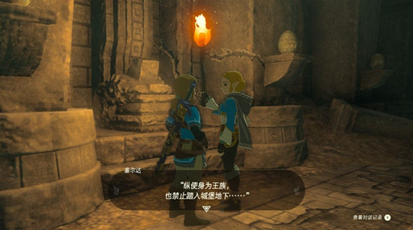 塞尔达传说王国之泪电脑版 塞尔达传说王国之泪电脑版