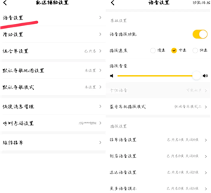 {$softname} {$softname}