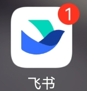 飞书怎么改名字 飞书改名字还是原名怎么回事 飞书怎么改名字 飞书改名字还是原名怎么回事