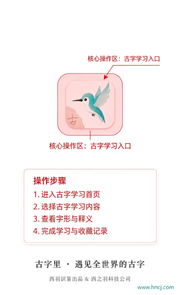 西羽识篆app最新版 西羽识篆app最新版