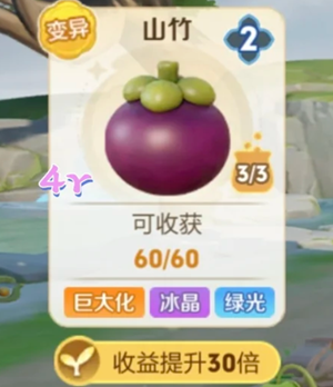 王者农场山竹是高经济作物吗 王者农场山竹和灯笼果哪个好 王者农场山竹是高经济作物吗 王者农场山竹和灯笼果哪个好