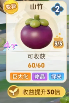 王者农场山竹是高经济作物吗 王者农场山竹和灯笼果哪个好 王者农场山竹是高经济作物吗 王者农场山竹和灯笼果哪个好