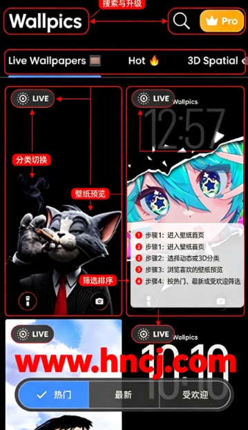 椰树壁纸手机版 椰树壁纸手机版