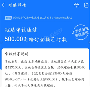 ֧��������ҽ���ͷ��绰 ֧��������ҽ���ͷ��绰ת�˹��̳�