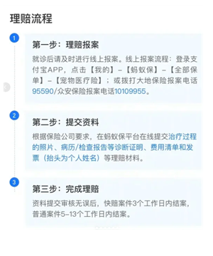 ֧��������ҽ���ͷ��绰 ֧��������ҽ���ͷ��绰ת�˹��̳�