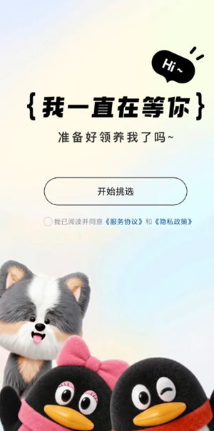 QQ����ع����� QQ����������������