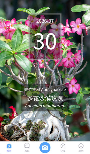花伴侣专业版app 花伴侣专业版app
