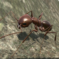 3d����ģ������Ϸv2.3.6 ��׿��
