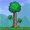 ̩������1.4.4.9ȫ��Ʒ�浵����(Terraria)v1.4.4.9 ���ò˵�