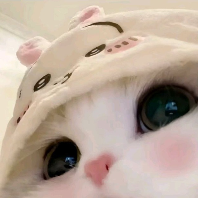С����������app����v4.6 ��׿��