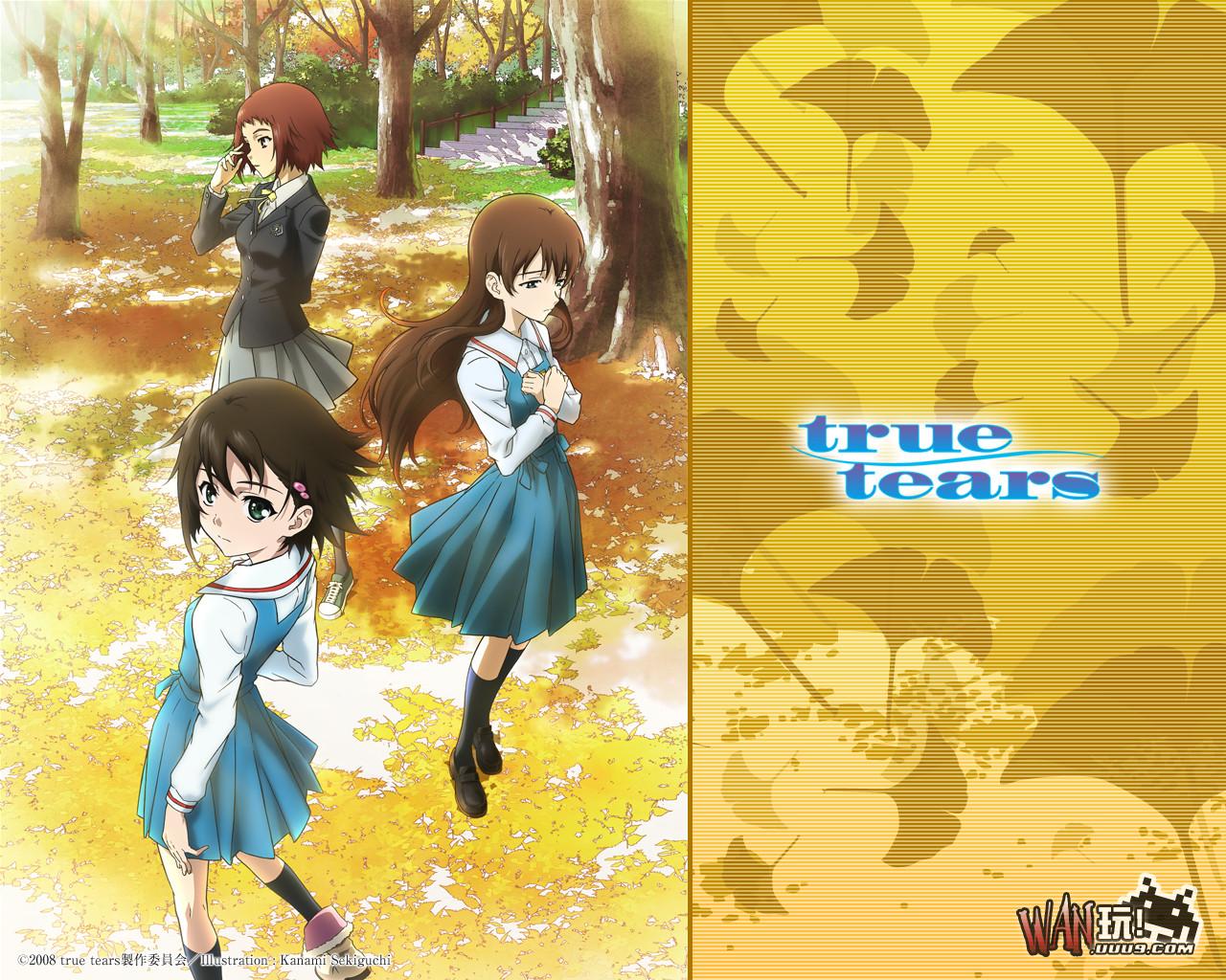 真实之泪 True Tears1.0 汉化版