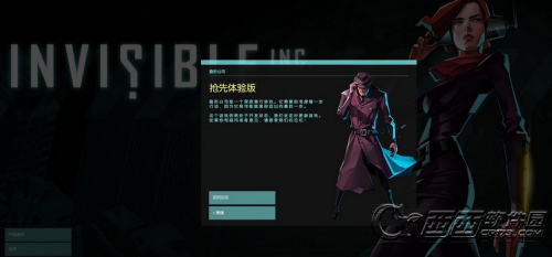 隐形公司