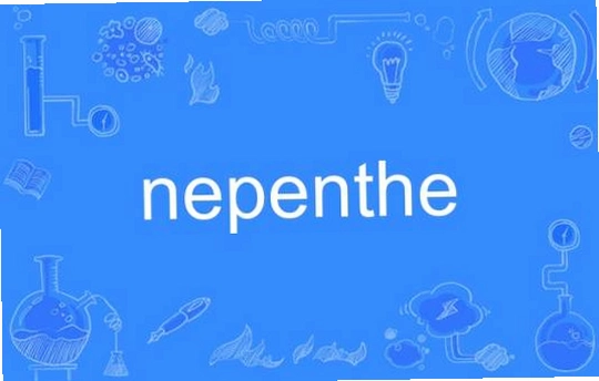 Nepenthe ����ҩv1.0 �ƽ��