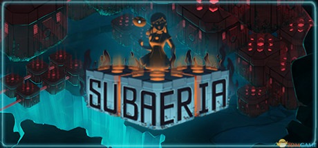 ���֮�� Subaeriav1.0 �ƽ��