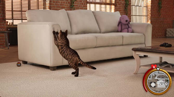 Сè����ģ���� Kitten Life Simulatorv1.0 ģ������ 2026