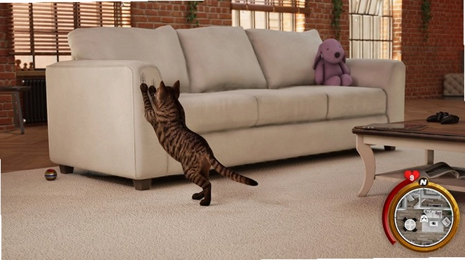 小猫生活模拟器 Kitten Life Simulatorv1.0 模拟生活 2026