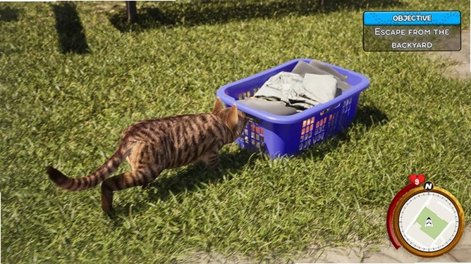 小猫生活模拟器 Kitten Life Simulatorv1.0 模拟生活 2026