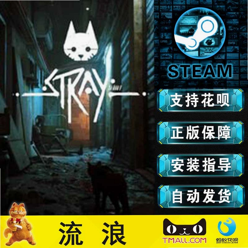 ����Stay���°� ���İ�
