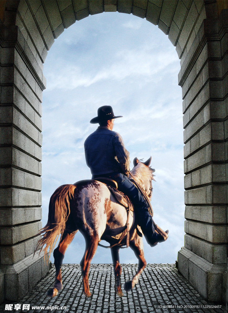 ��ʿ���� Knight Out1.0.0 ������