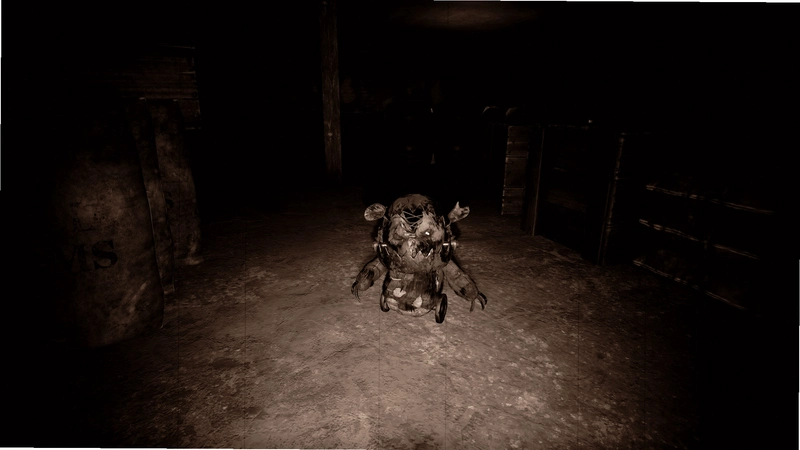 ����Ů��v1.0 ���԰�