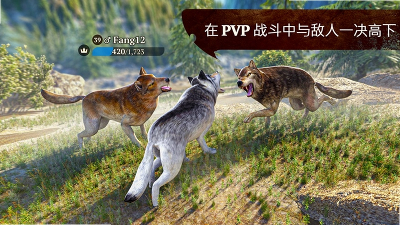 Ұ��Steam��1.0.0