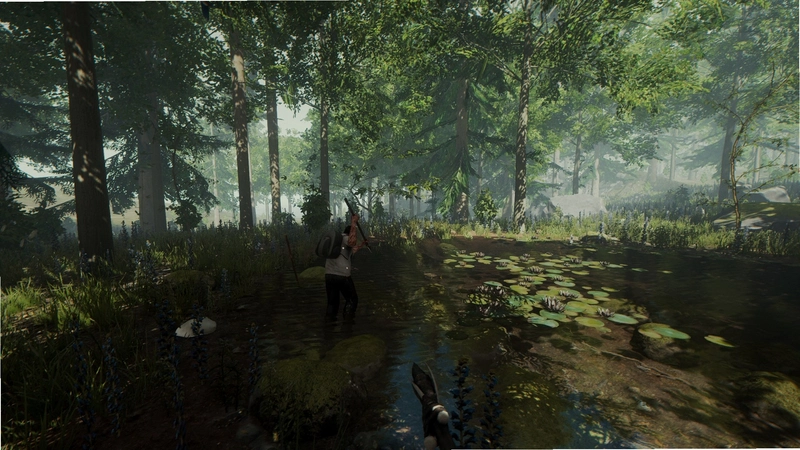The Forest0.71b ������