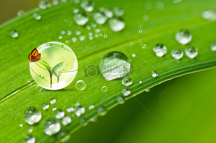 ¶�� The Dew1.0 ��Ϸ
