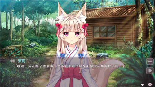 ���� Fox Hime1.0 ��ʽ��