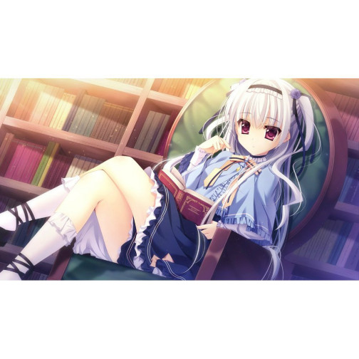 ֽ�ϵ�ħ��ʹ������