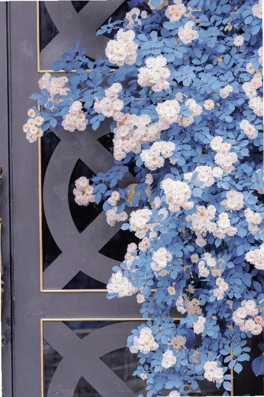 Reditum �����ķ1.0 ��ʽ��